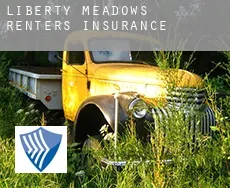 Liberty Meadows  renters insurance