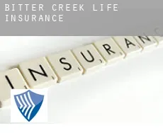 Bitter Creek  life insurance