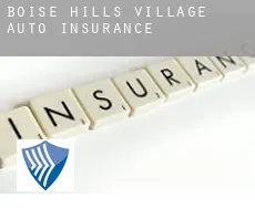 Boise Hills Village  auto insurance