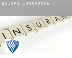 Briars  insurance