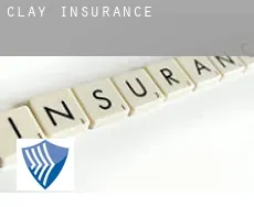Clay  insurance