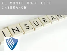 El Monte Rojo  life insurance