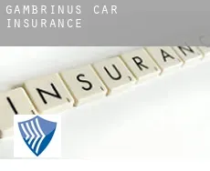 Gambrinus  car insurance