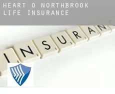 Heart O' Northbrook  life insurance
