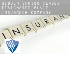 Hidden Spring  insurance company