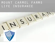 Mount Carmel Farms  life insurance