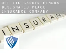 Old Fig Garden  insurance company
