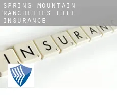 Spring Mountain Ranchettes  life insurance
