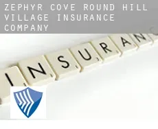 Zephyr Cove-Round Hill Village  insurance company
