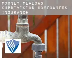 Mooney Meadows Subdivision  homeowners insurance