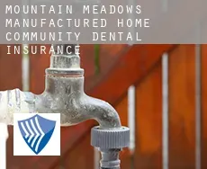 Mountain Meadows Manufactured Home Community  dental insurance