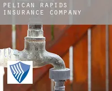 Pelican Rapids  insurance company