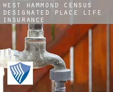 West Hammond  life insurance