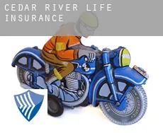 Cedar River  life insurance