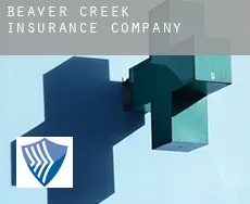 Beaver Creek  insurance company