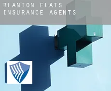 Blanton Flats  insurance agents