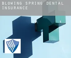 Blowing Spring  dental insurance