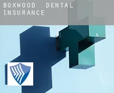 Boxwood  dental insurance