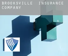 Brooksville  insurance company