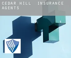 Cedar Hill insurance agents
