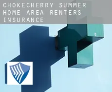 Chokecherry Summer Home Area  renters insurance