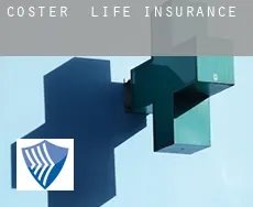 Coster life insurance