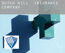 Dutch Hill  insurance company