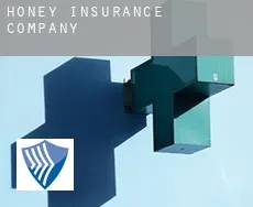 Honey  insurance company