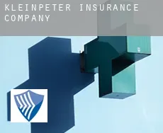 Kleinpeter  insurance company