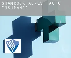 Shamrock Acres  auto insurance