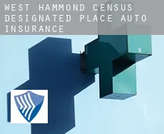 West Hammond  auto insurance