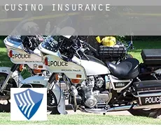 Cusino  insurance