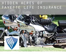Hidden Acres of Fayette  life insurance