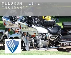 Meldrum  life insurance