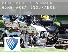 Pine Bluffs Summer Home Area  insurance