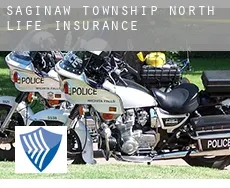 Saginaw Township North  life insurance