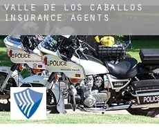 Valle de los Caballos  insurance agents