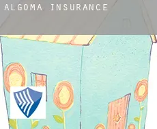 Algoma  insurance