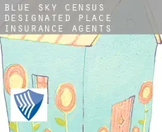 Blue Sky  insurance agents