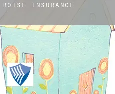 Boise  insurance