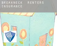 Breakneck  renters insurance