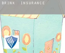 Brink insurance