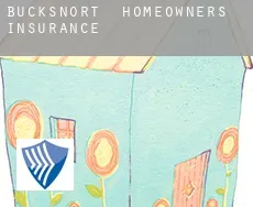 Bucksnort  homeowners insurance