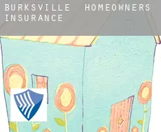 Burksville  homeowners insurance