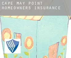 Cape May Point  homeowners insurance