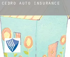 Cedro  auto insurance