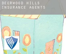 Deerwood Hills  insurance agents