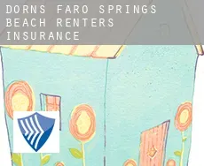 Dorns Faro Springs Beach  renters insurance