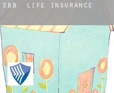 Ebb  life insurance