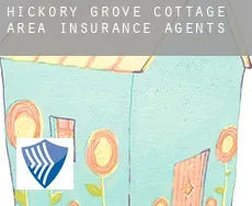 Hickory Grove Cottage Area  insurance agents